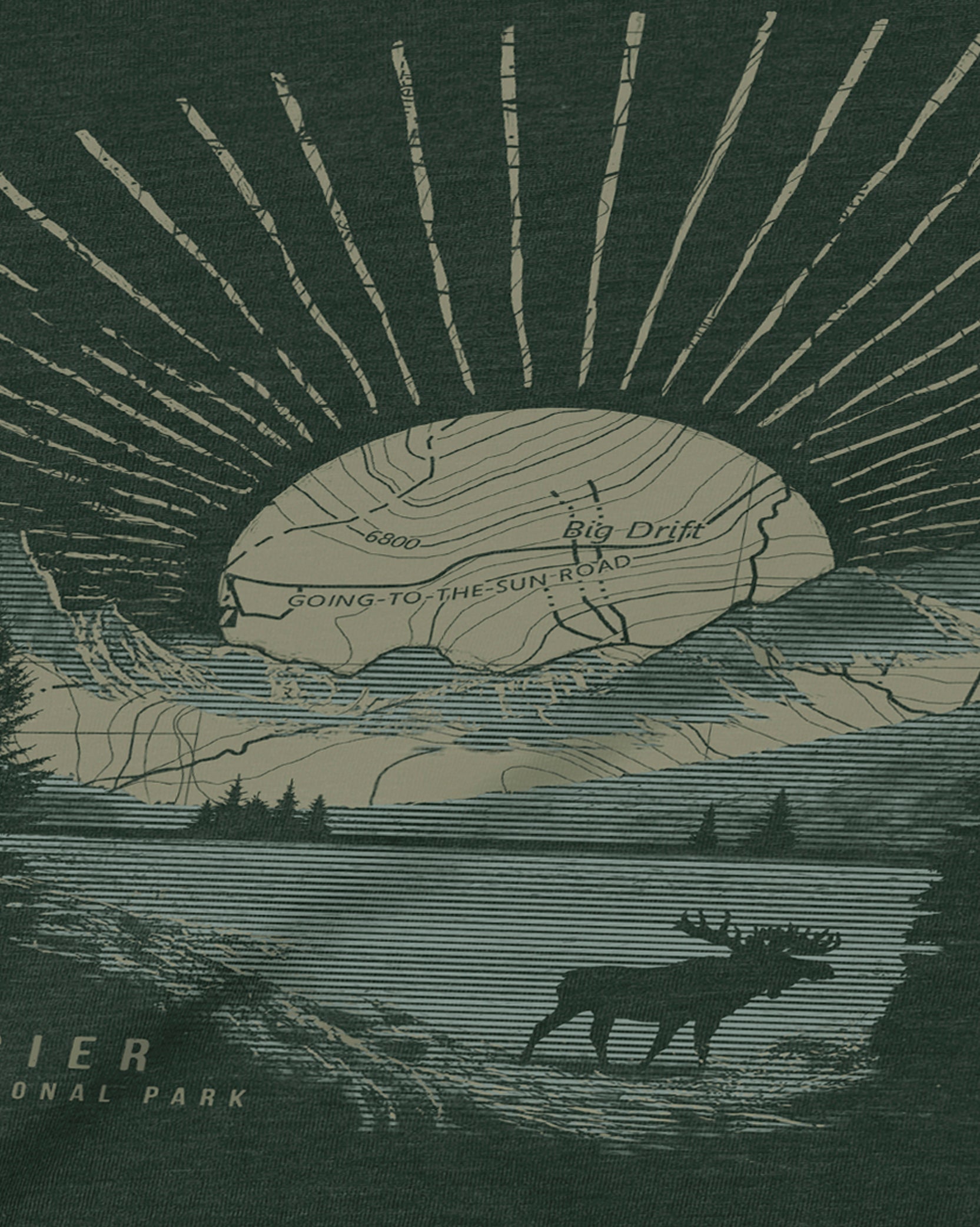 Glacier National Park Detail of Artwork