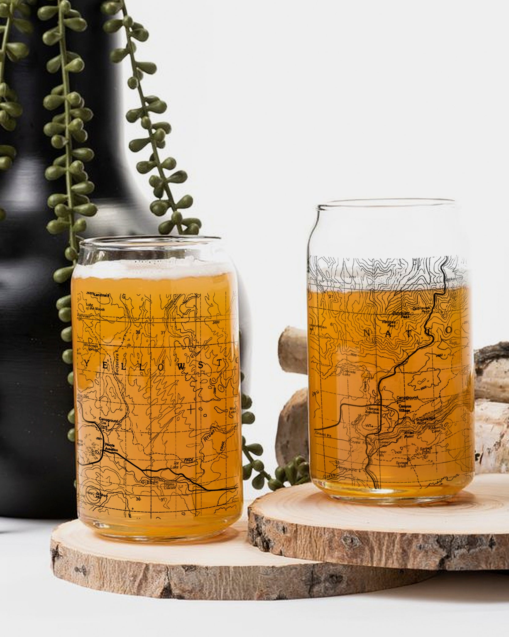 Yellowstone Topographic Map Can Glasses 2