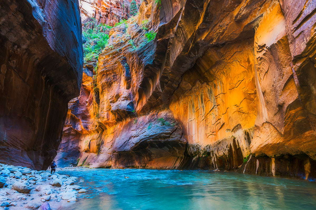 The Iconic History of Zion National Park