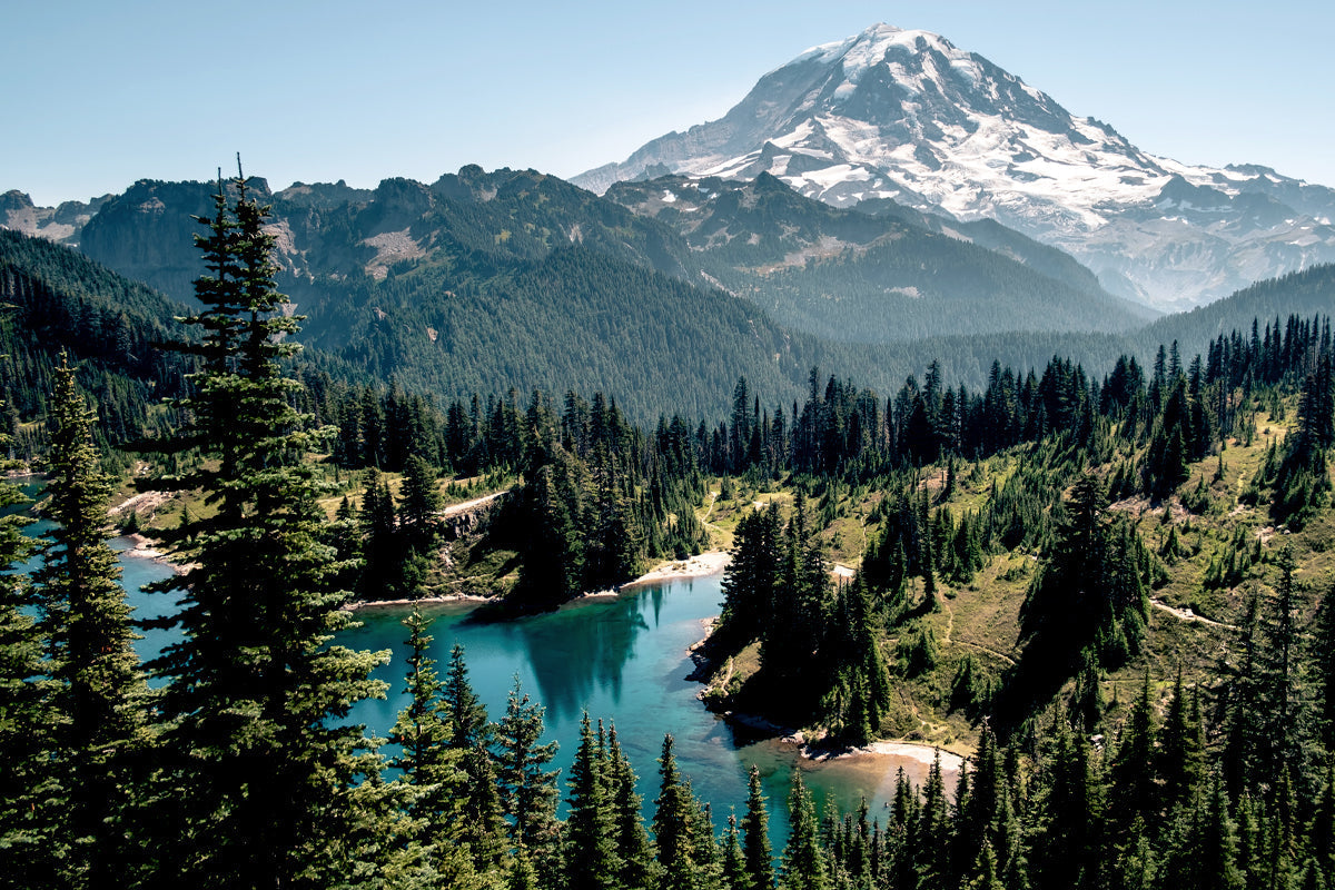 Black Lantern + Mount Rainier National Park