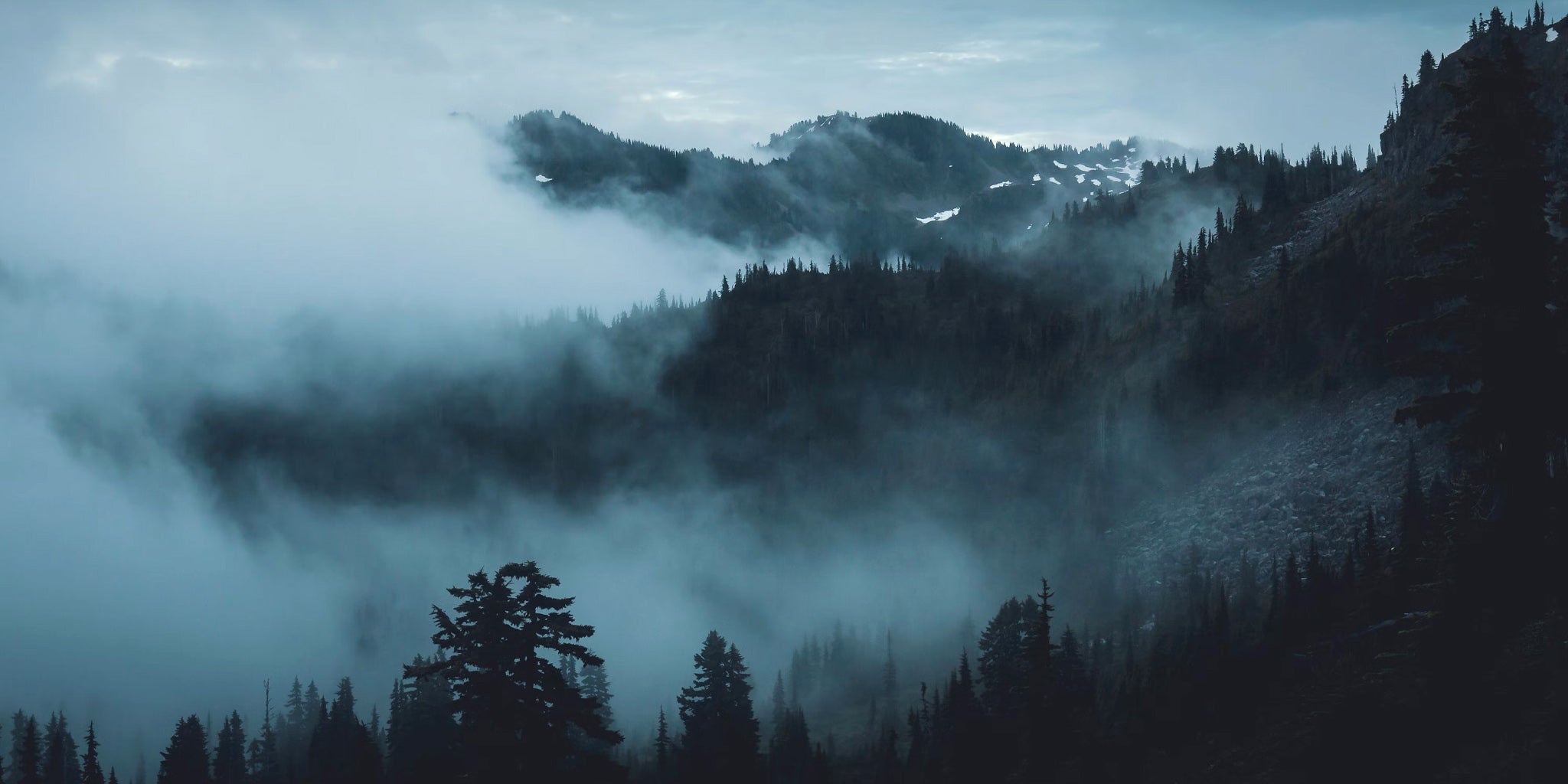 The Wild Coast of Olympic National Park