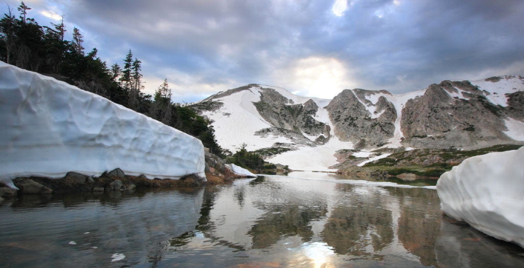 Travel Log 11-11-2021