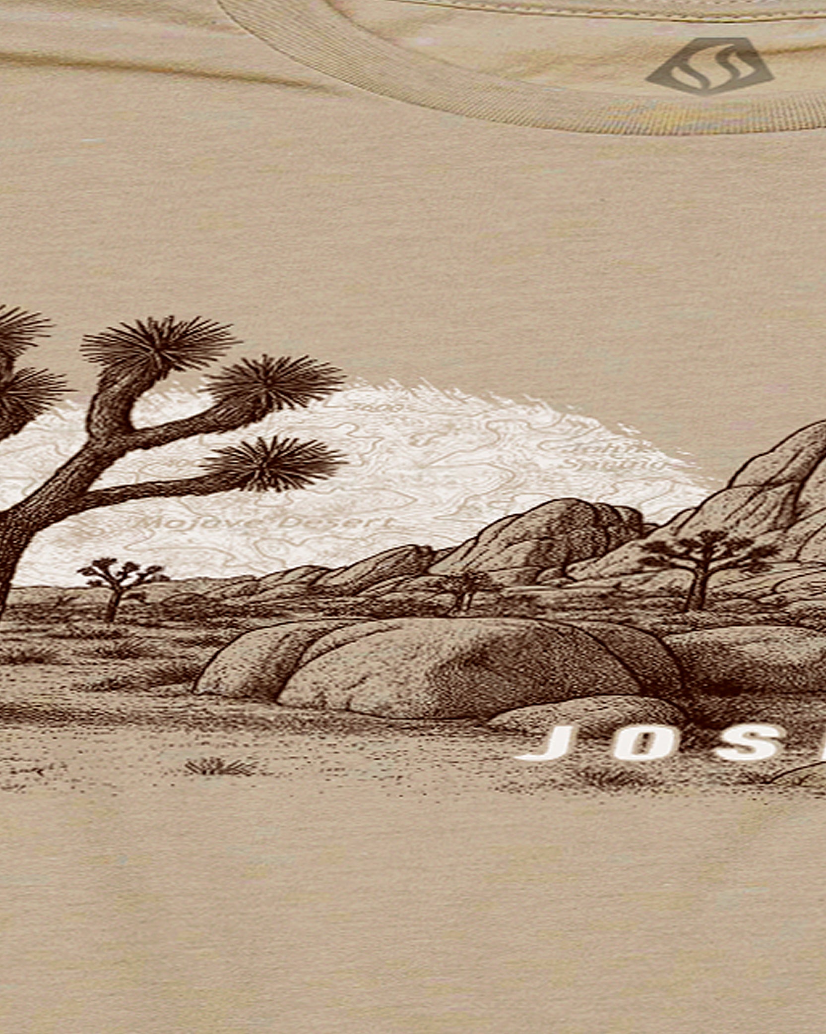 Men's Joshua Tree National Park T-Shirt | Black Lantern
