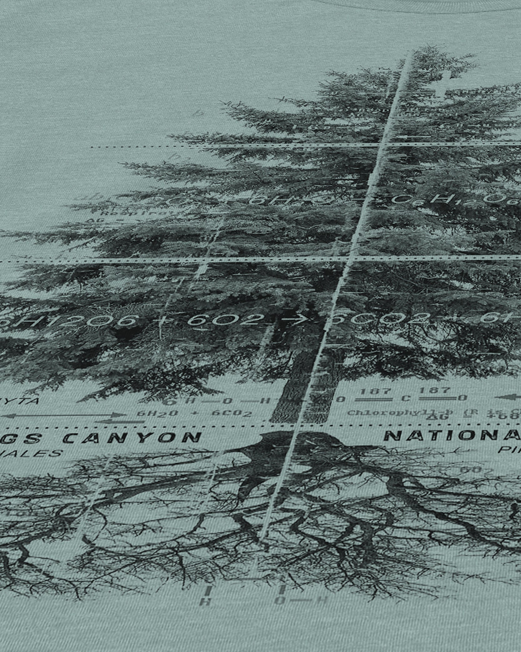 Kings Canyon National Park Tshirt detail closeup photo