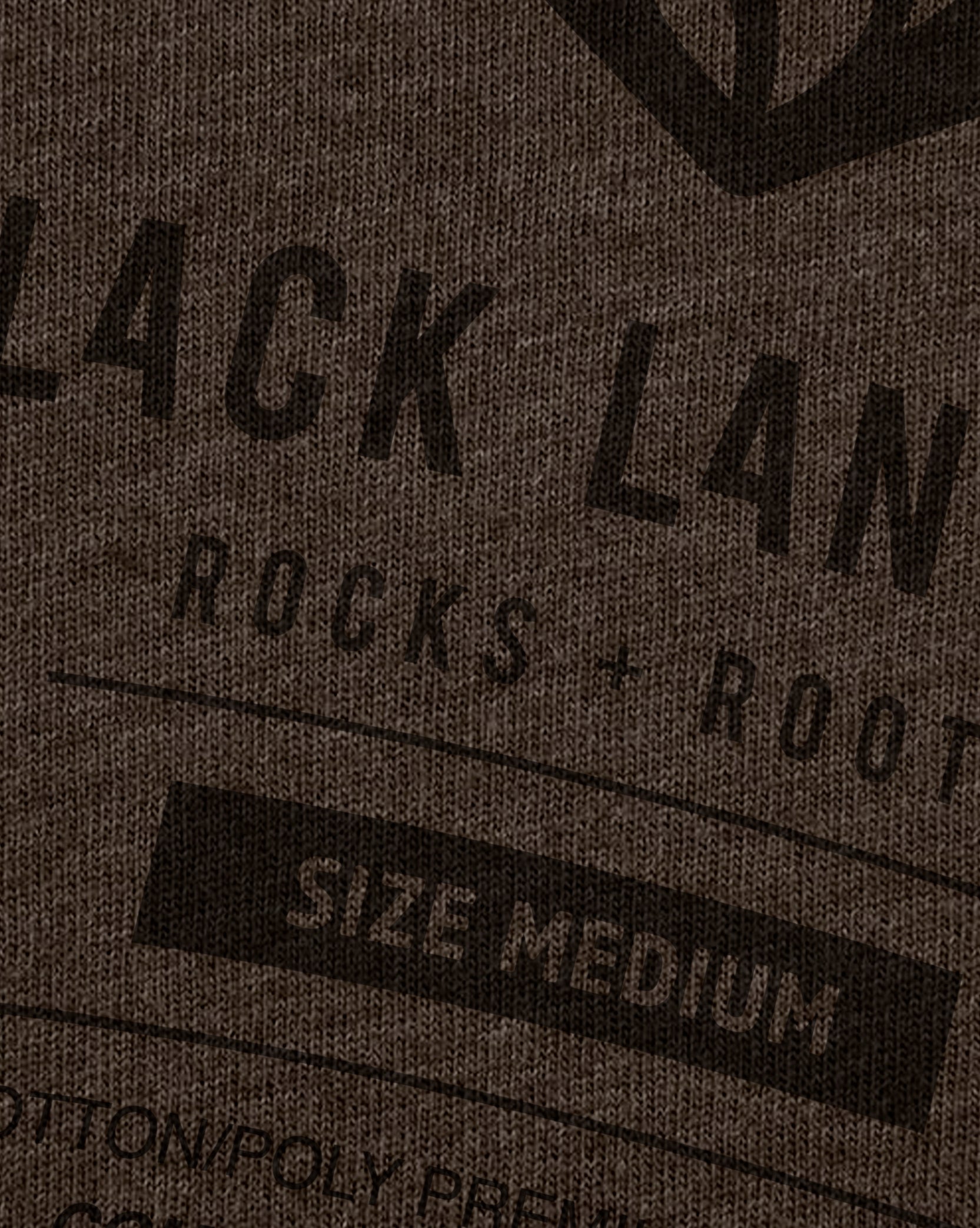 Men's Zion National Park T-Shirt | Black Lantern